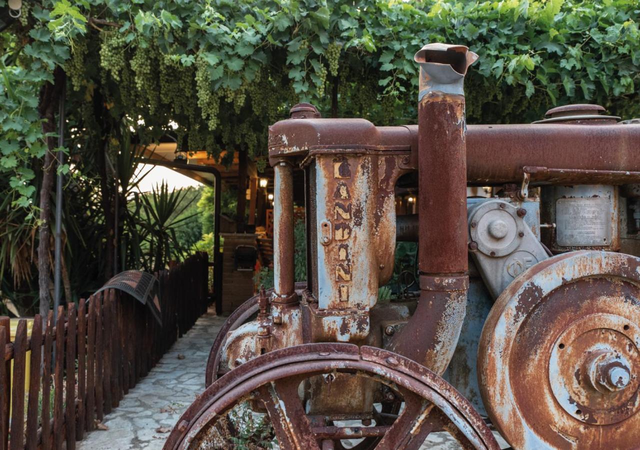 Il Sorgituro - Agriturismo Postiglione Екстер'єр фото