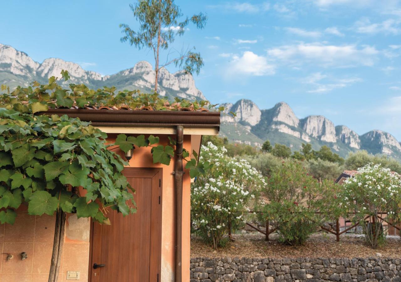 Il Sorgituro - Agriturismo Postiglione Екстер'єр фото