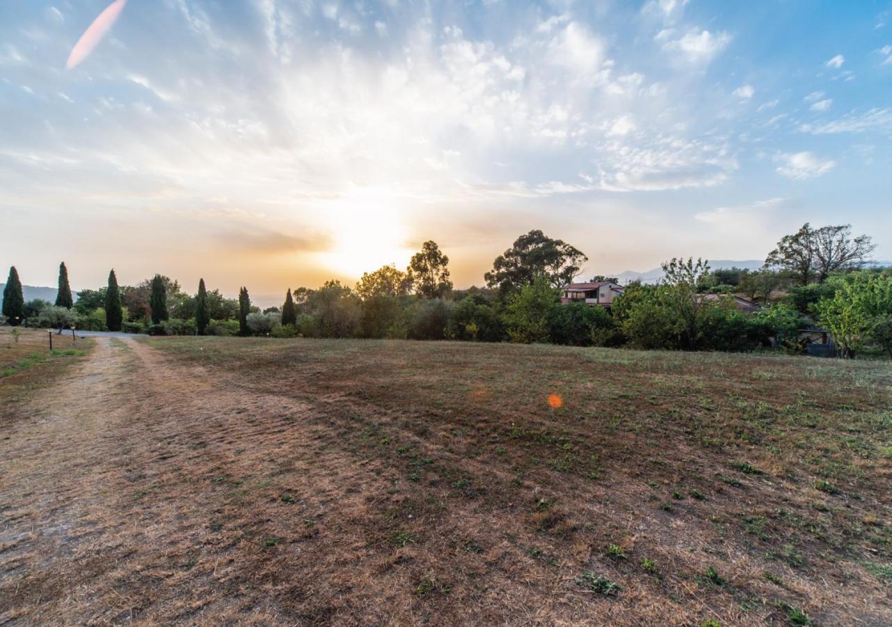 Il Sorgituro - Agriturismo Postiglione Екстер'єр фото